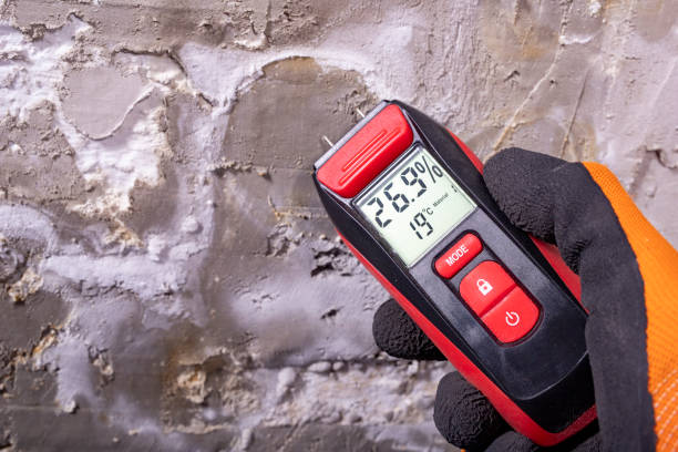 Best Certified Mold Removal  in Lawndale, CA