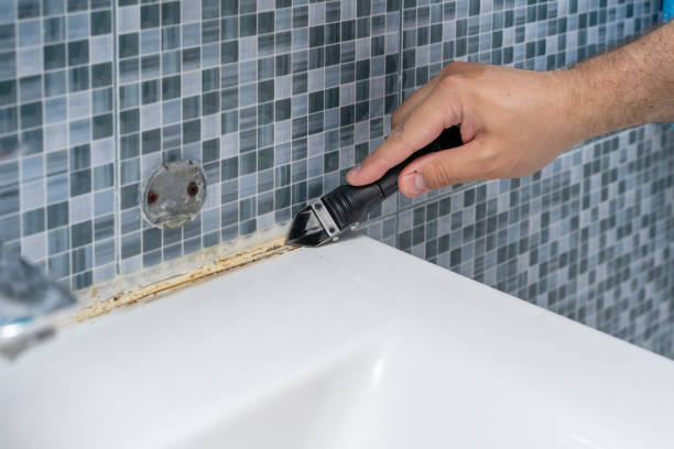 Attic Mold Removal in Lawndale, CA