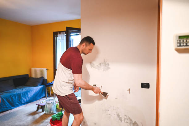 Professional Mold Removal in Lawndale, CA